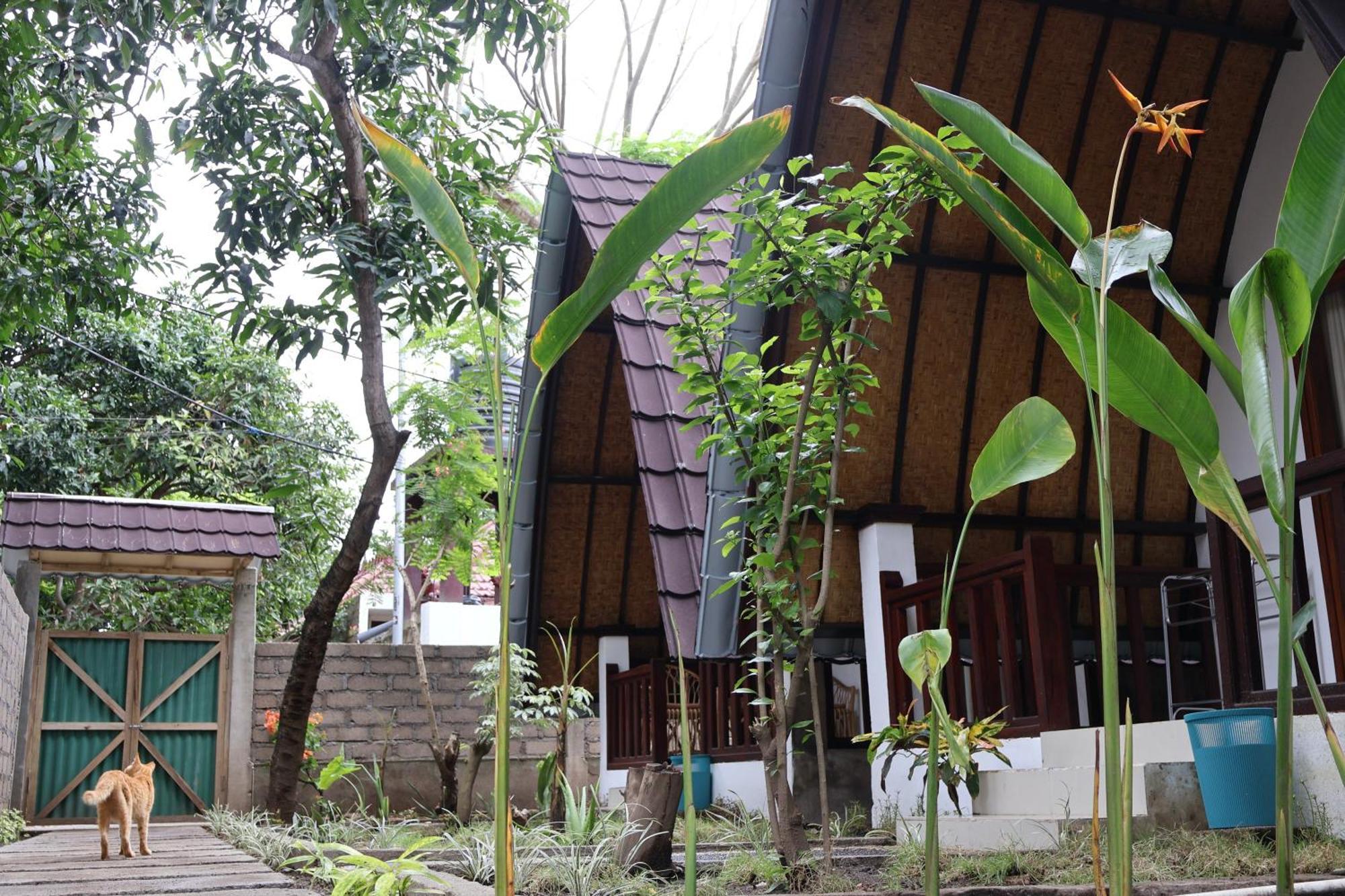 Rumah Gemala Gili Air Ngoại thất bức ảnh
